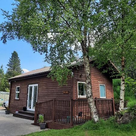 Studio Letterkenny Exteriör bild